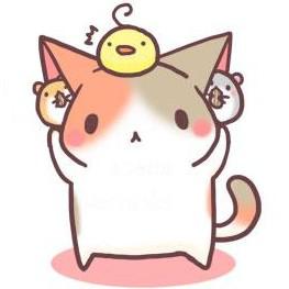 saeil 프로필