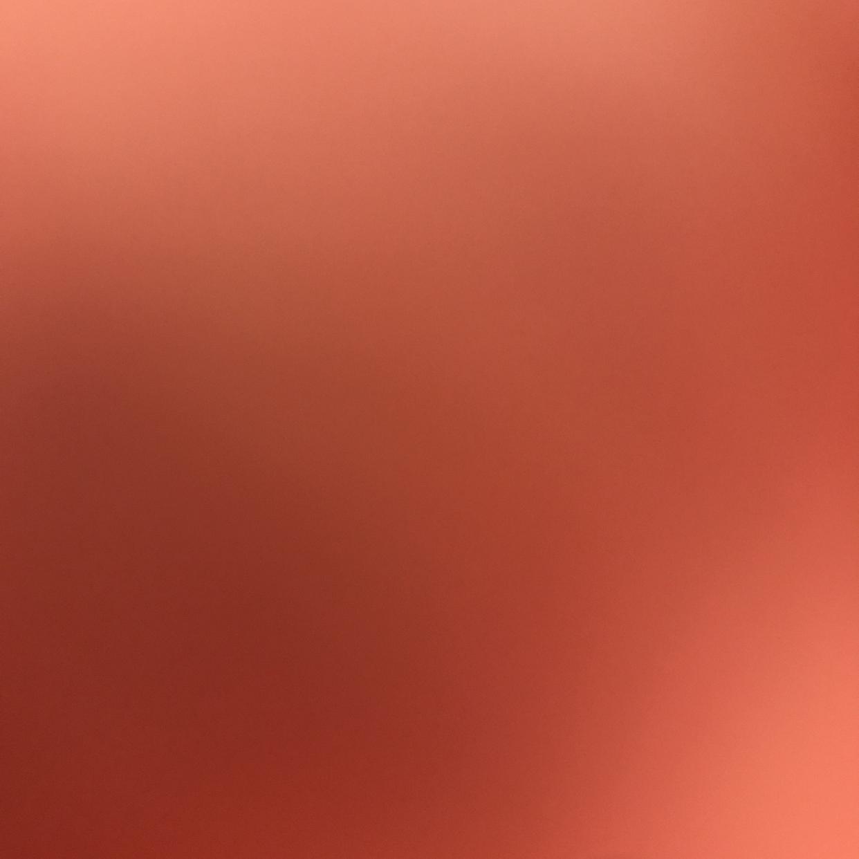시타델 프로필