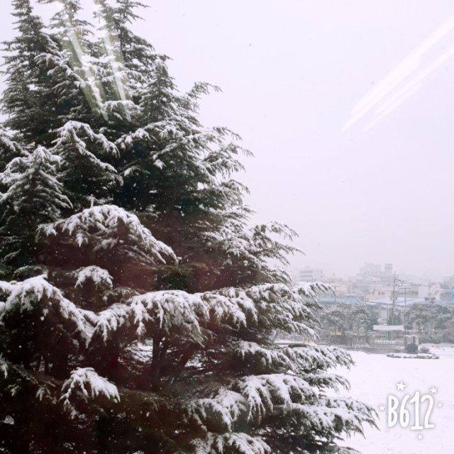 유린이~ 프로필