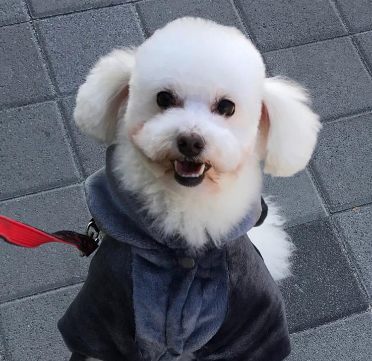 ToTo01 프로필