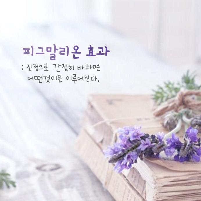 뽀로팅 프로필