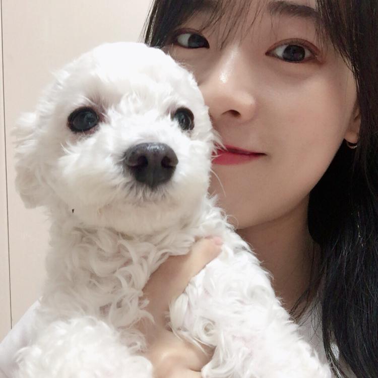 bora335 프로필
