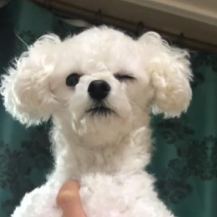 유뎡ㅋ 프로필