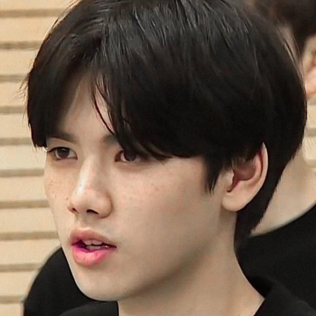 svani 프로필