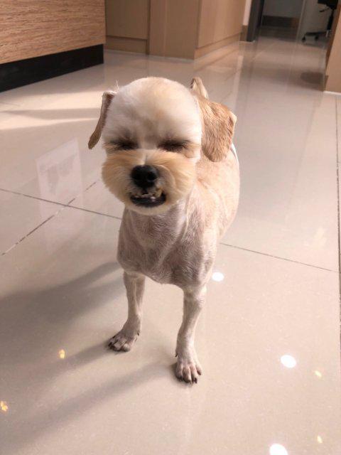 쿵잔치 프로필