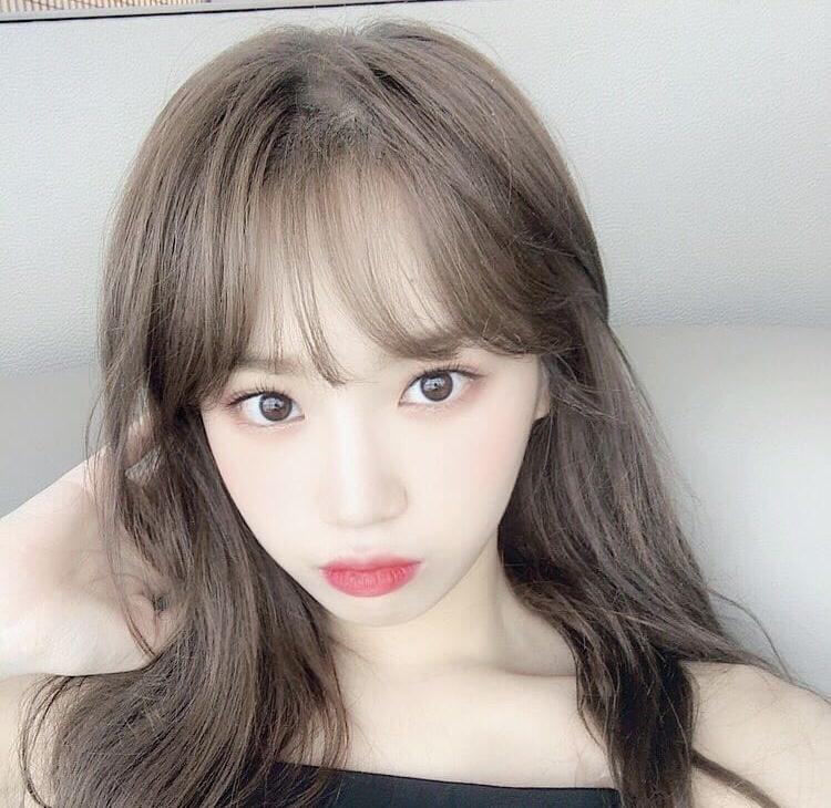 고션 프로필