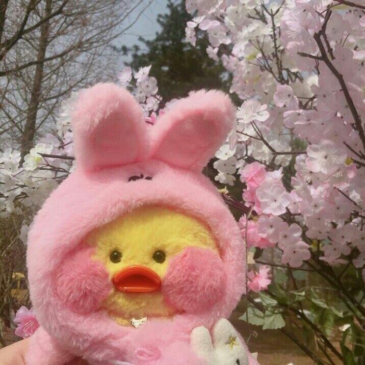 \김서연/ 프로필