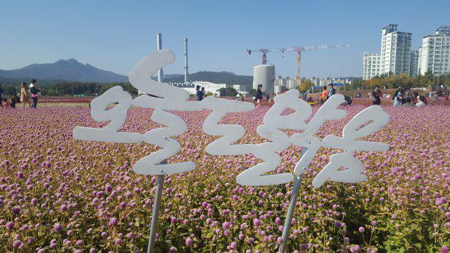 연이잉 프로필