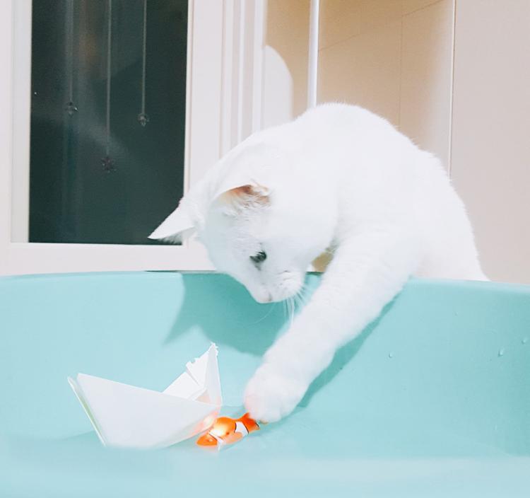 ㅇㅏ이이뻐 프로필