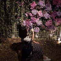 mini0323 프로필