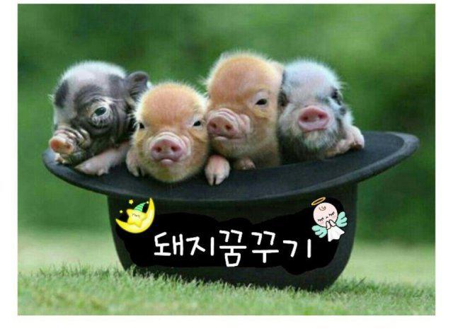 베가본드 프로필