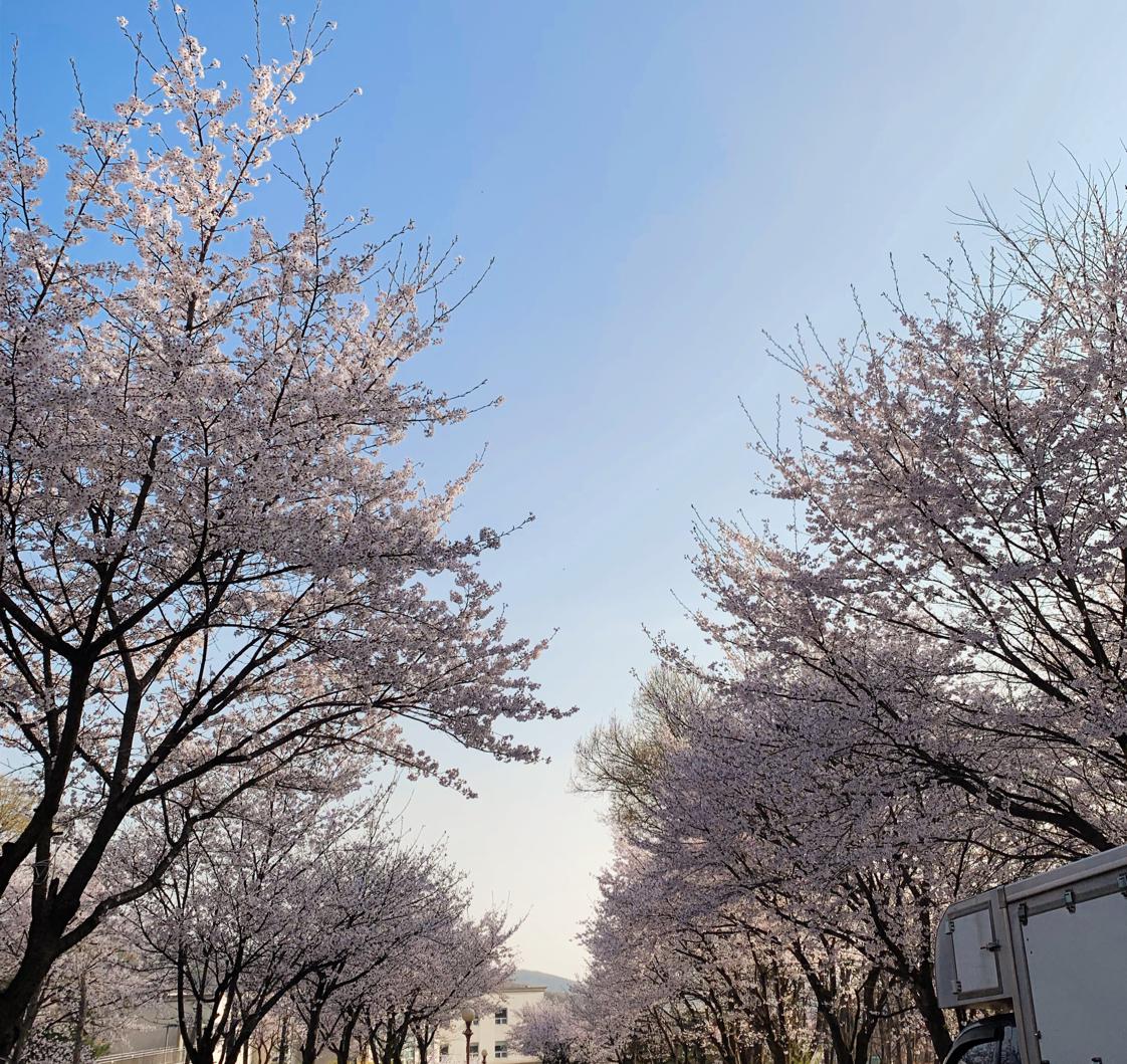 매라닝 프로필
