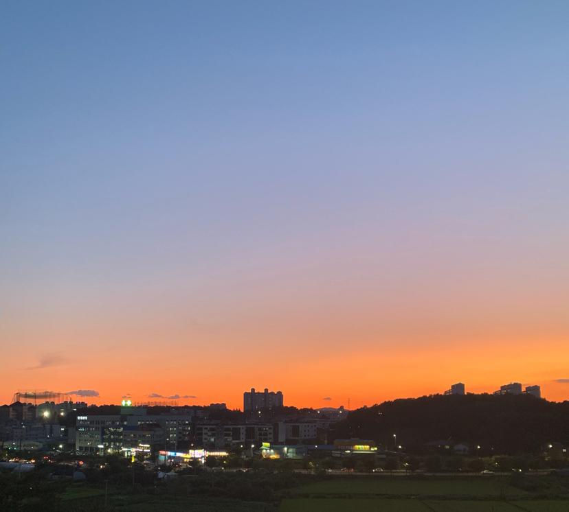 감자씨 프로필