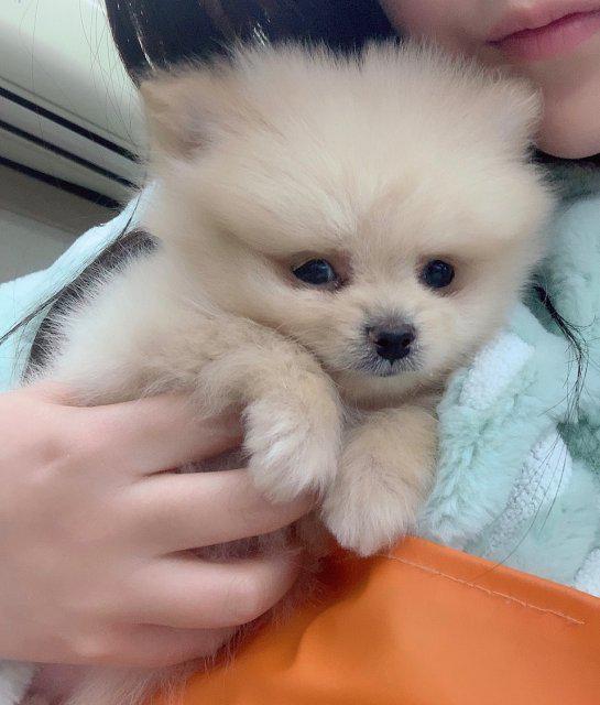 쏘삐니 프로필