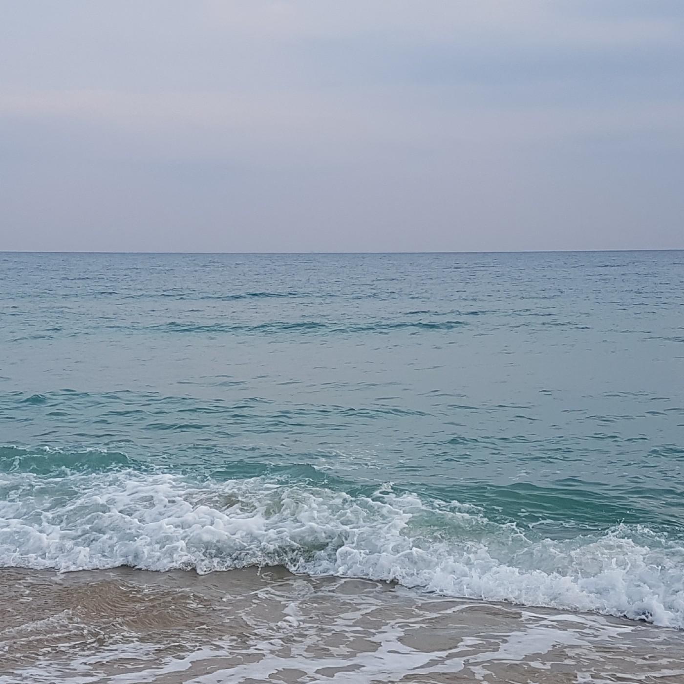gelin 프로필