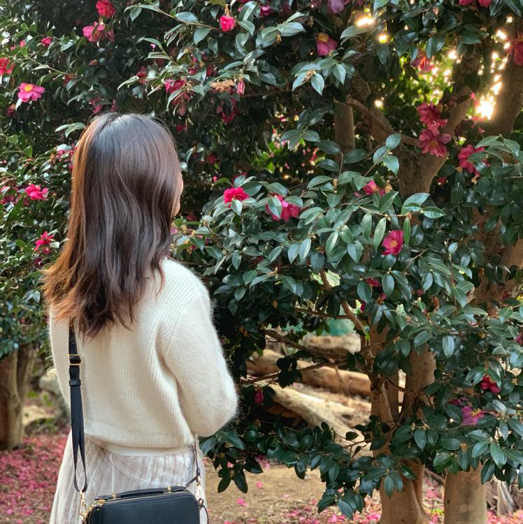 레이나86 프로필
