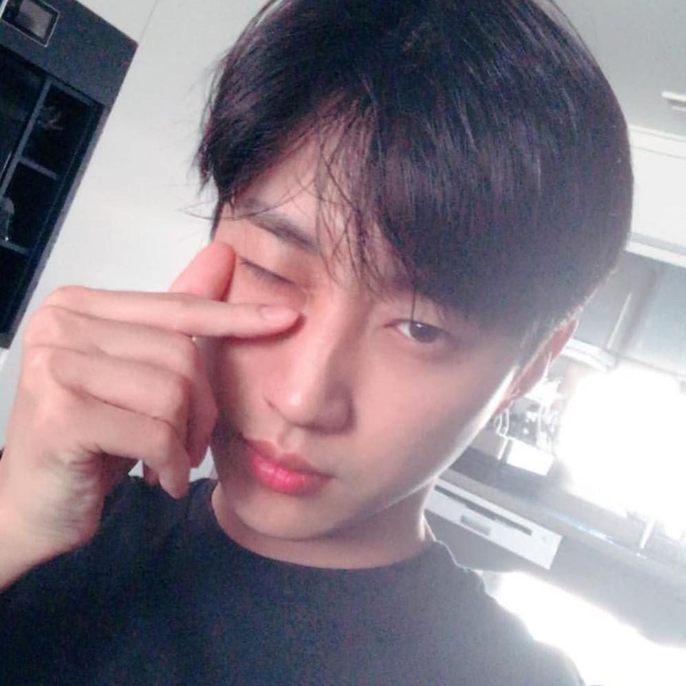 묘르딩 프로필