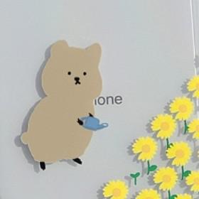 우우잉양 프로필