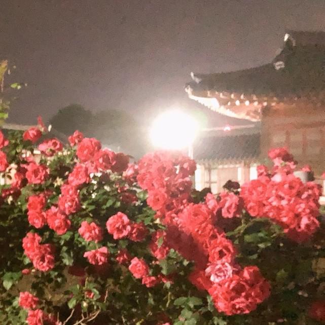 ㅅf경 프로필