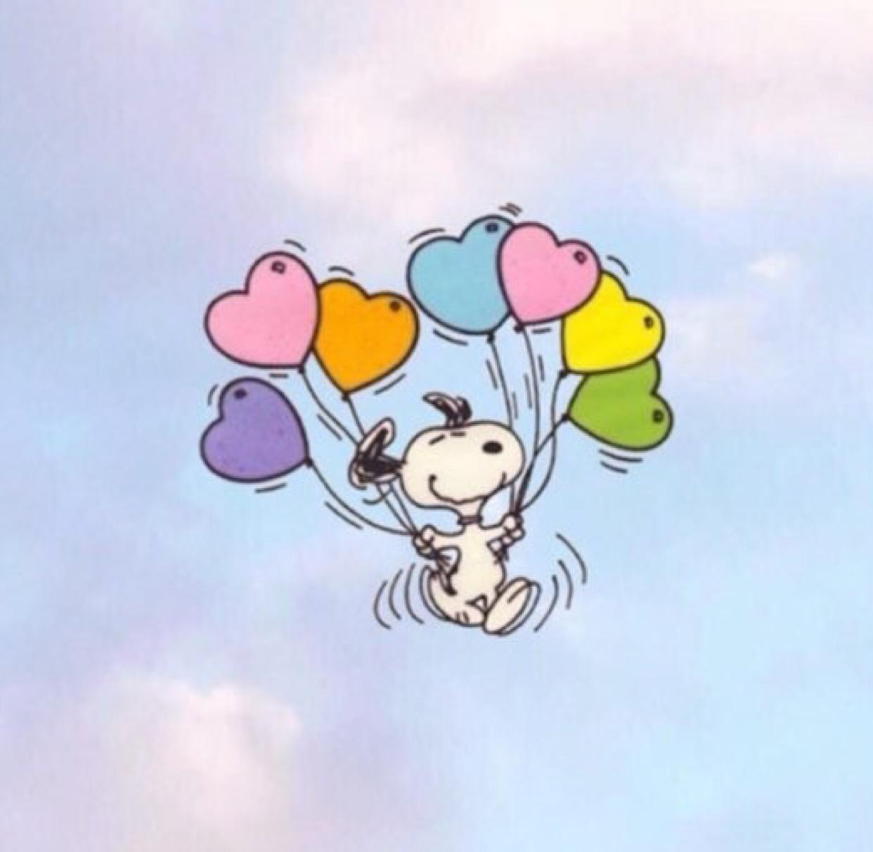 작약다발 프로필