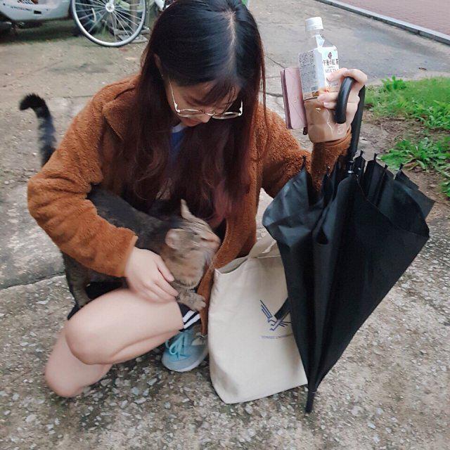 왜란이 프로필