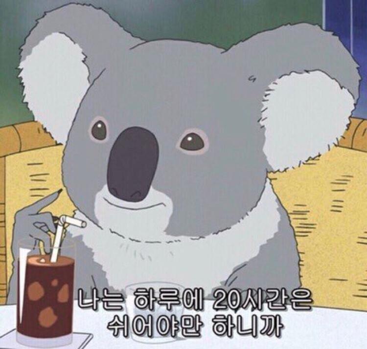 표잭 프로필