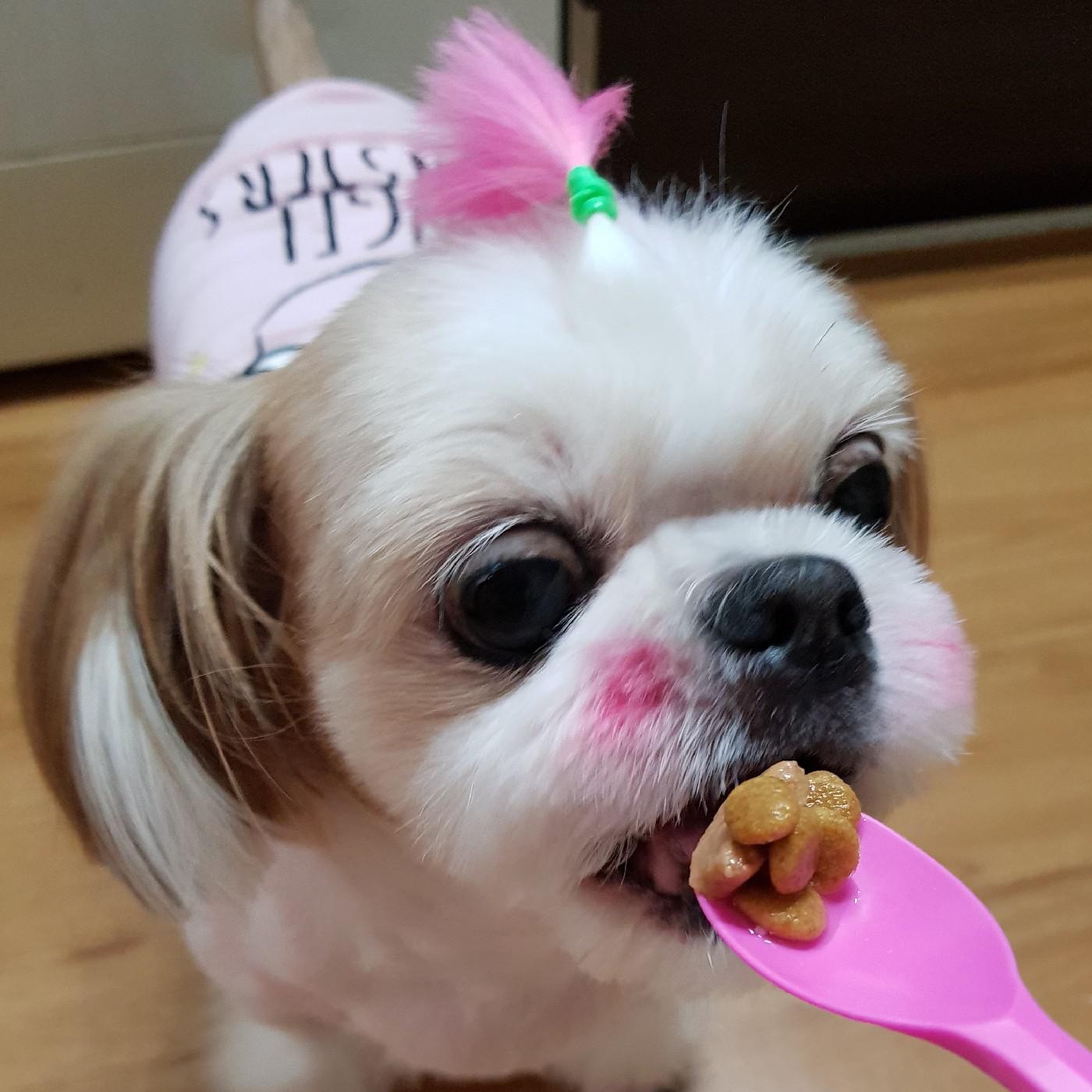 촌티피부 프로필