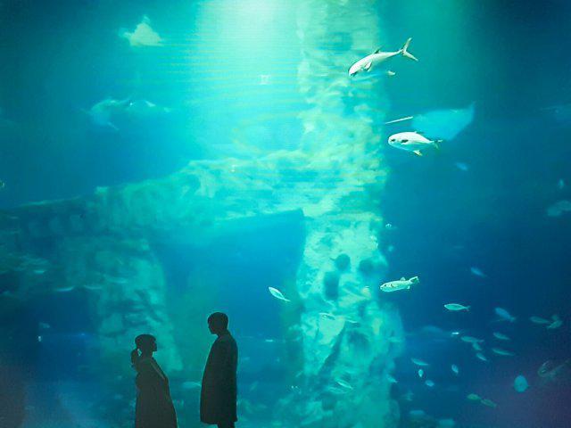 잠옷 프로필