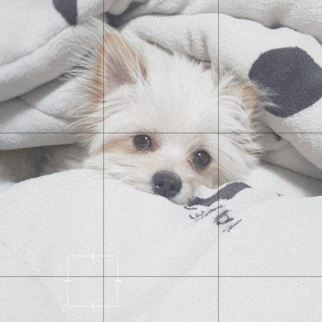 hyerhe 프로필