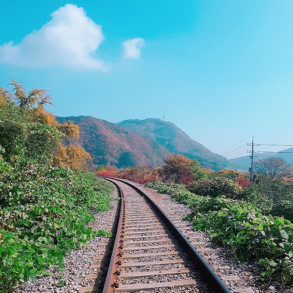 토도바쿠사랑해 프로필