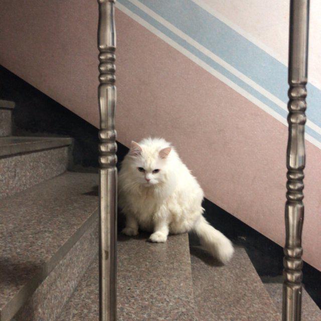 eunen 프로필