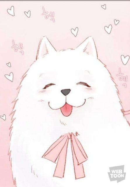 싫. 프로필