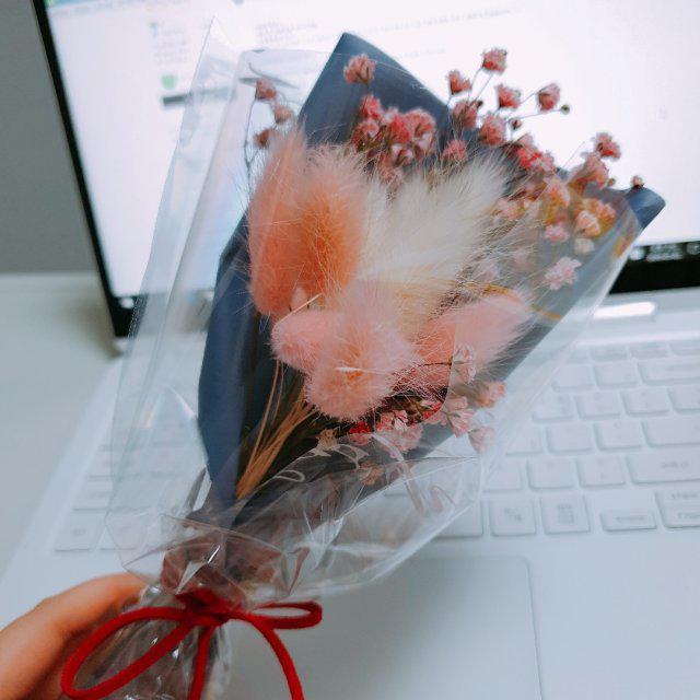 봉봉님이다 프로필