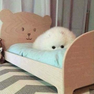 오리히로 프로필