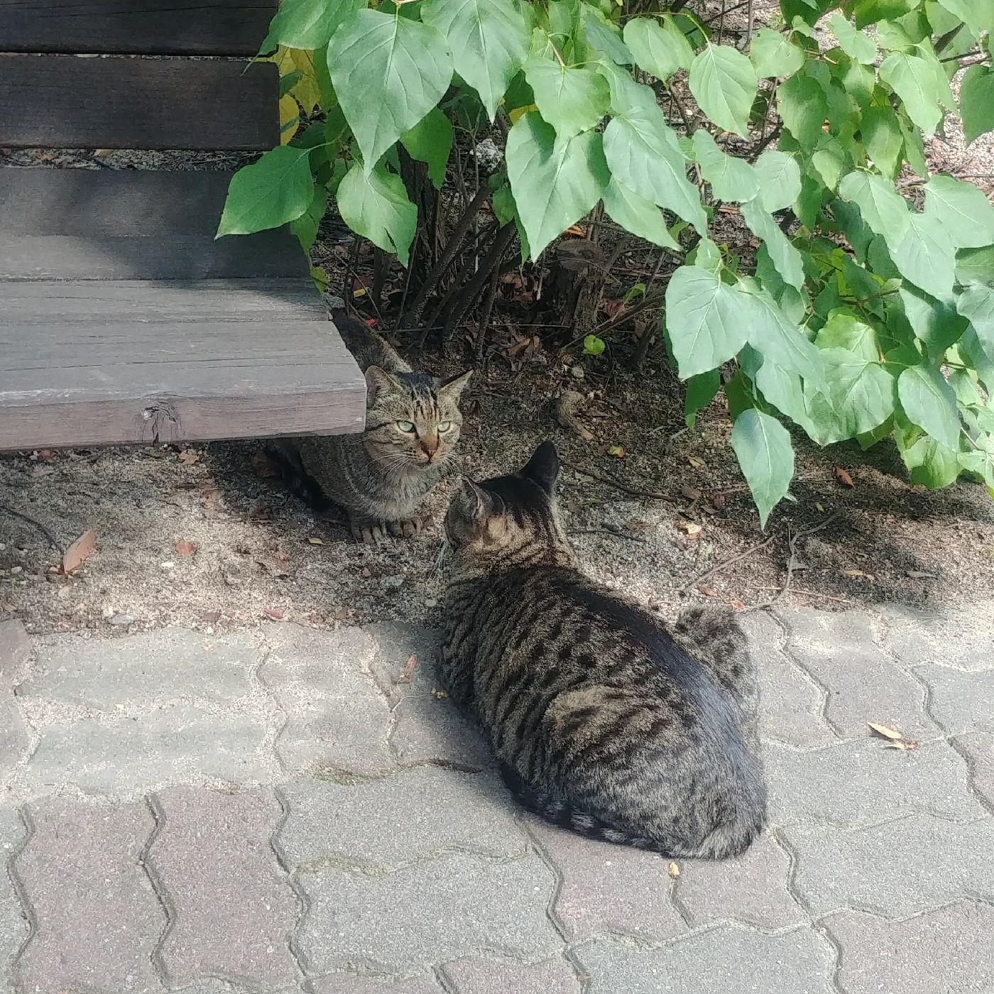쏘소라이프 프로필