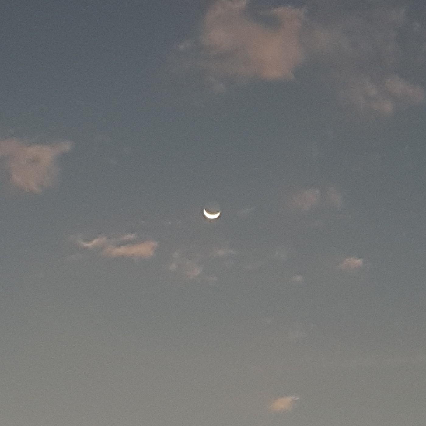 돌돌도리 프로필