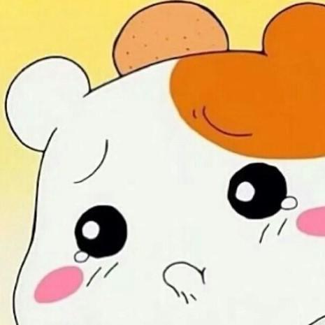 머사야하지 프로필