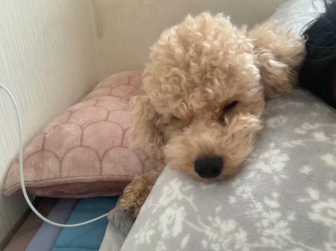 주머닛 프로필