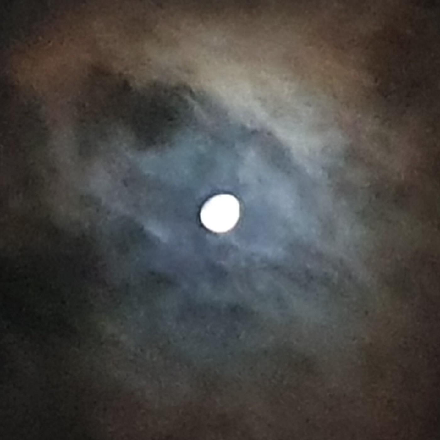 미야냐 프로필