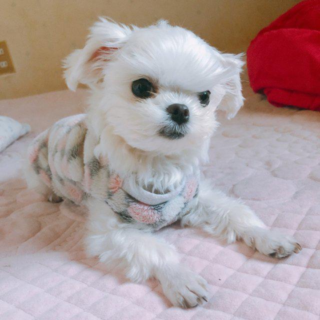 유굥쓰 프로필