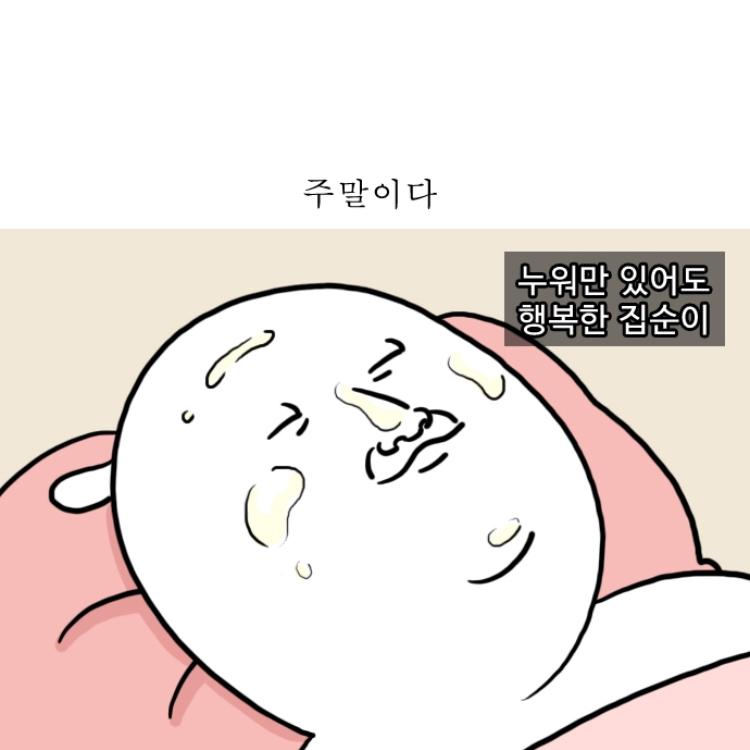 두꺼비공주 프로필