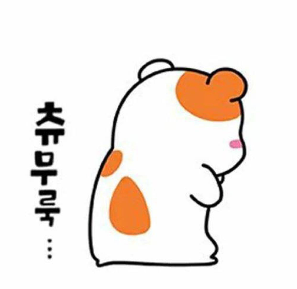 너구미 프로필