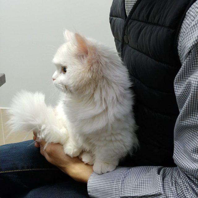 O3O 프로필