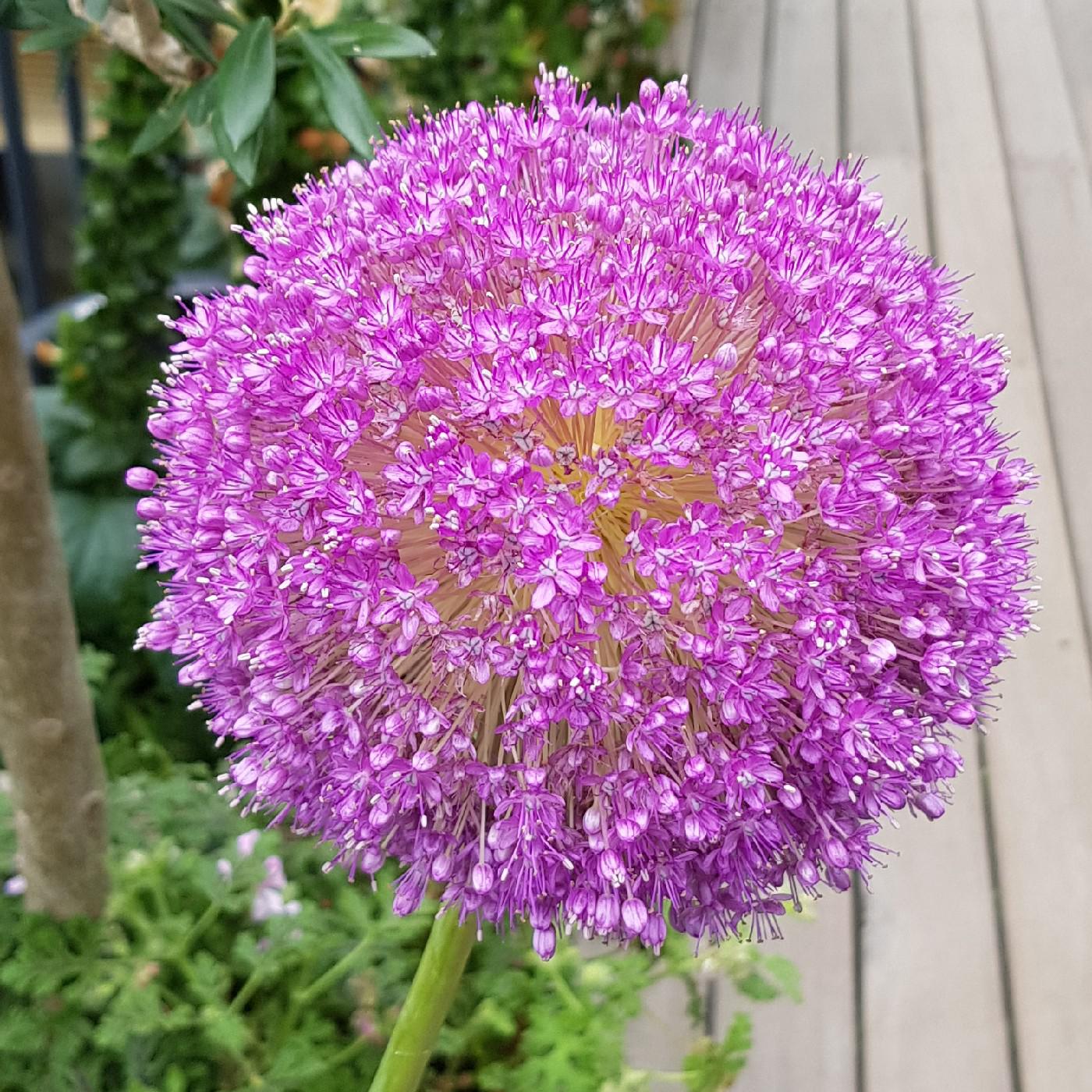 깨끄미 프로필