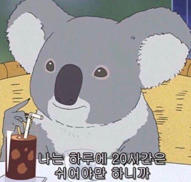 리뷰어 프로필