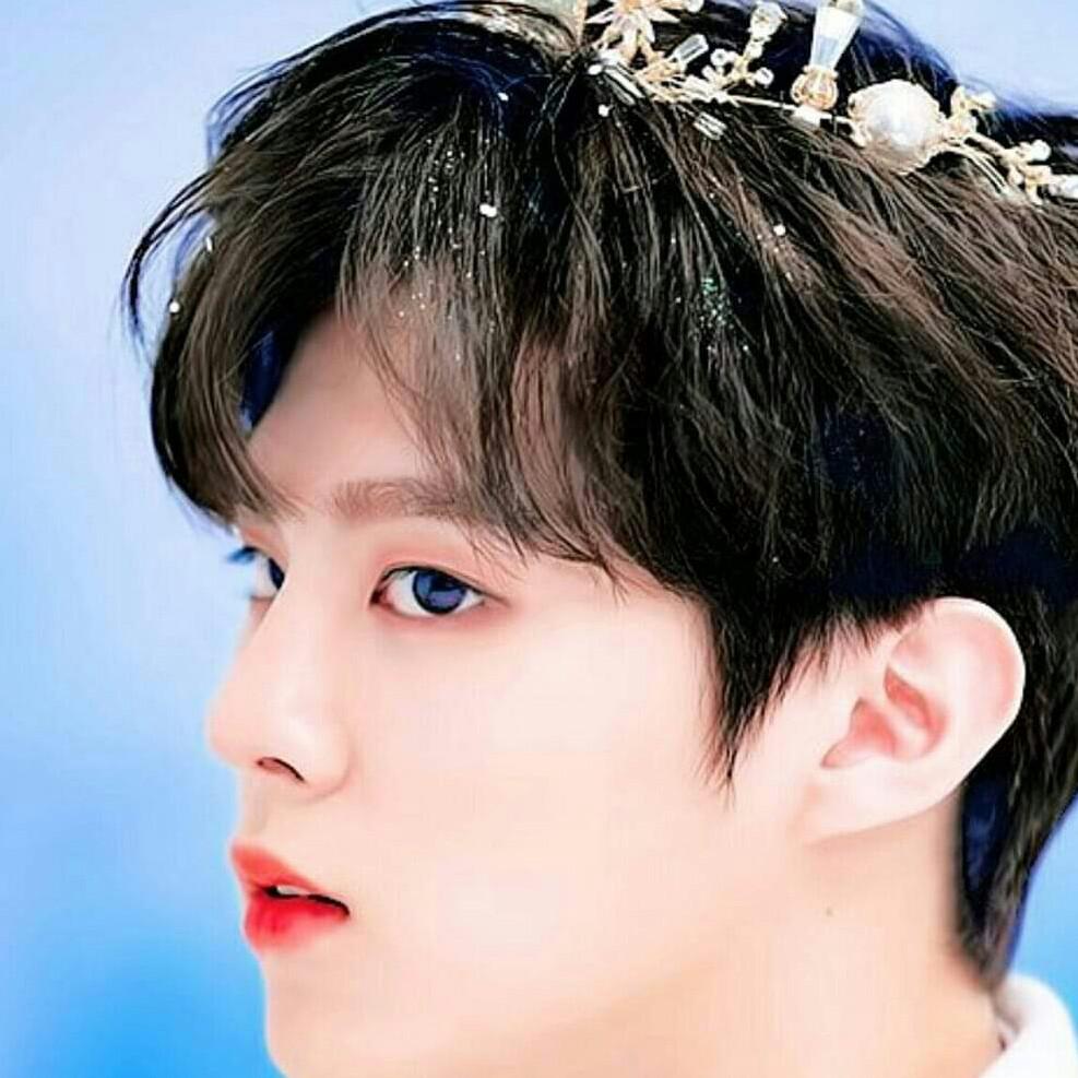 리뷰어 프로필