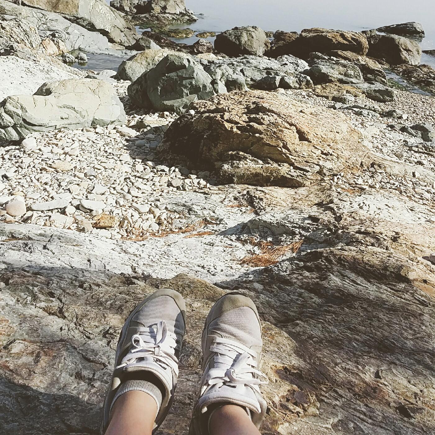 dms24 프로필
