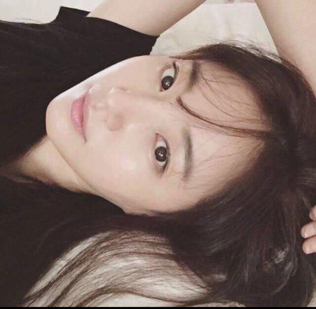 choively 프로필
