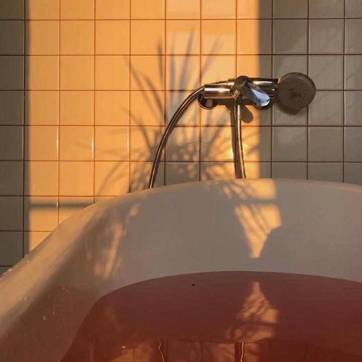 태태배배 프로필