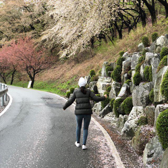 시즌제코덕 프로필